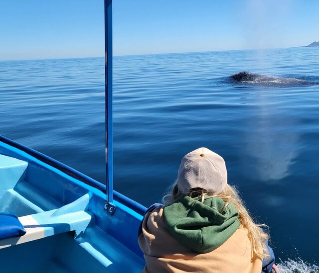 Victoria Puzach watching a whale surface beside the boat.